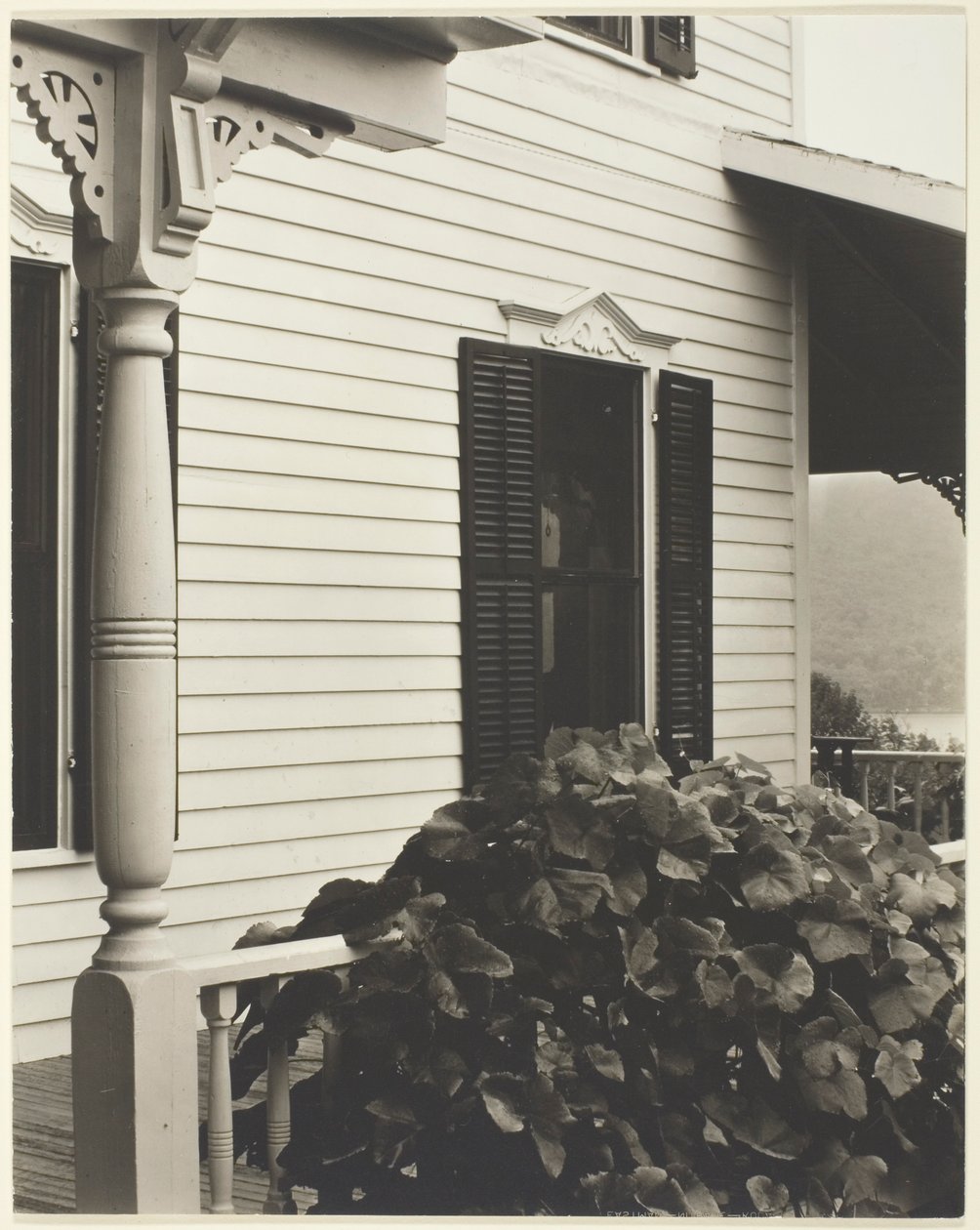  by Alfred Stieglitz