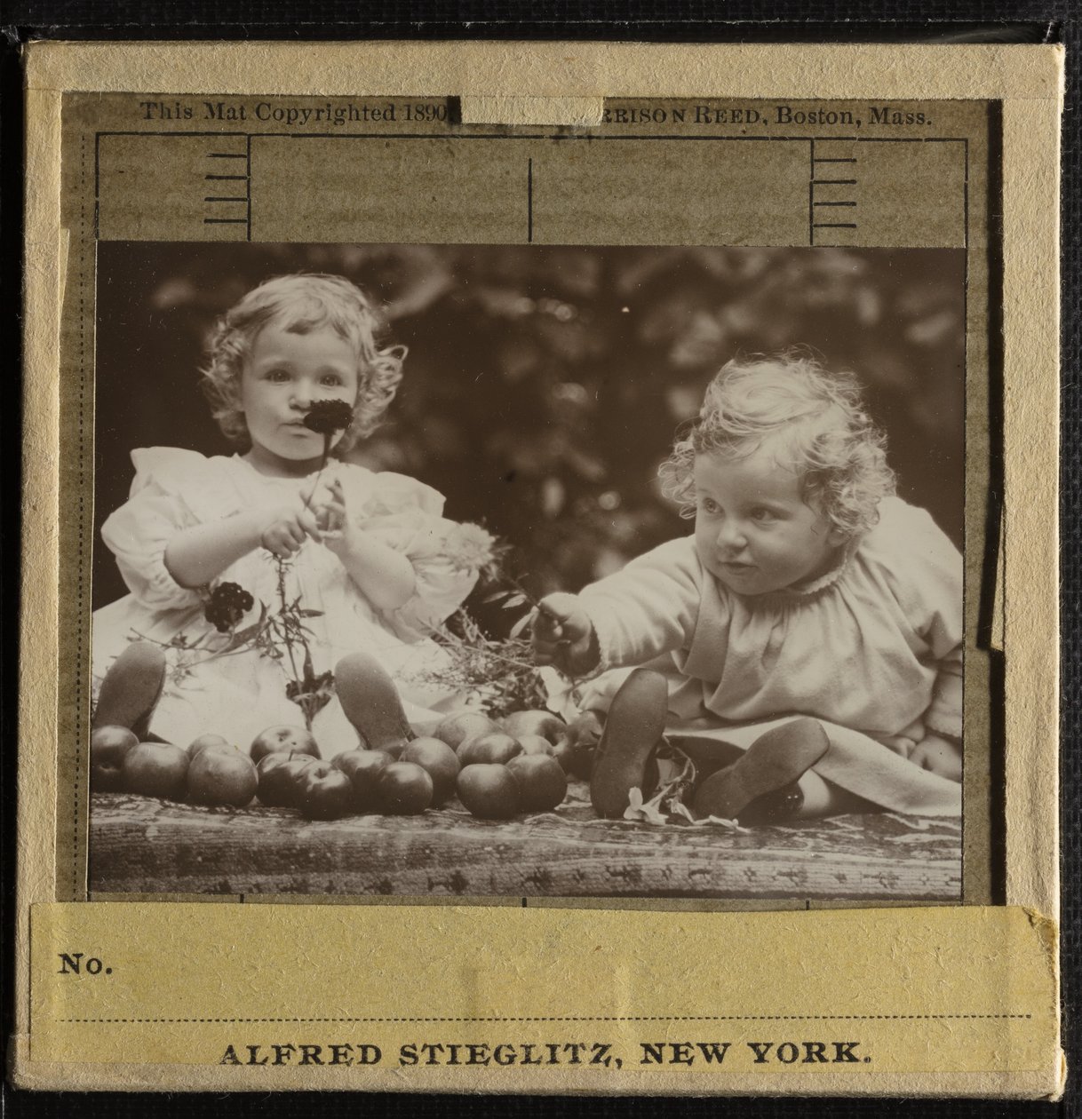 Yeğenler - Flora tutan çiçek ve Hedwig by Alfred Stieglitz