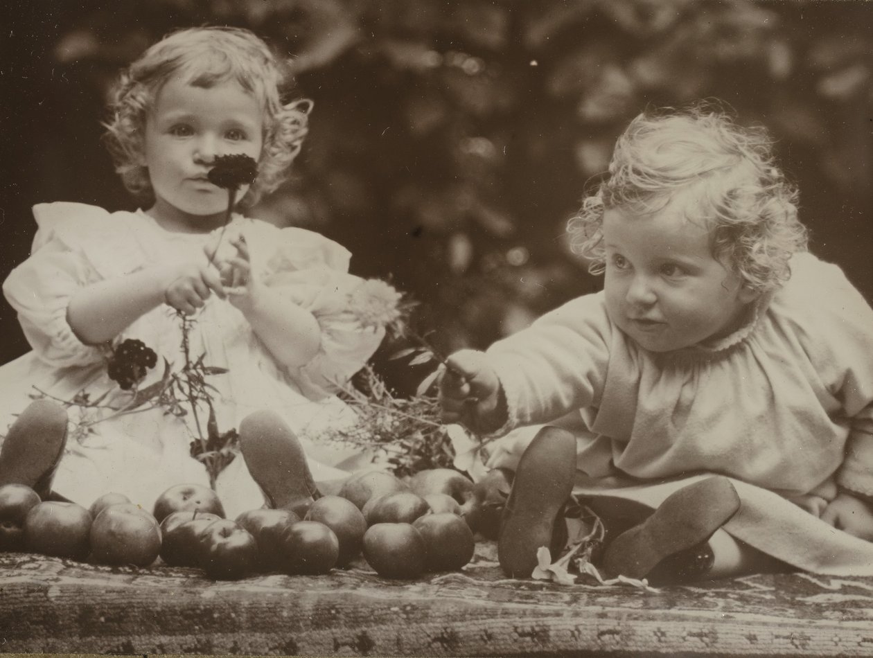Yeğenler - Flora tutan çiçek ve Hedwig, c. 1896. by Alfred Stieglitz
