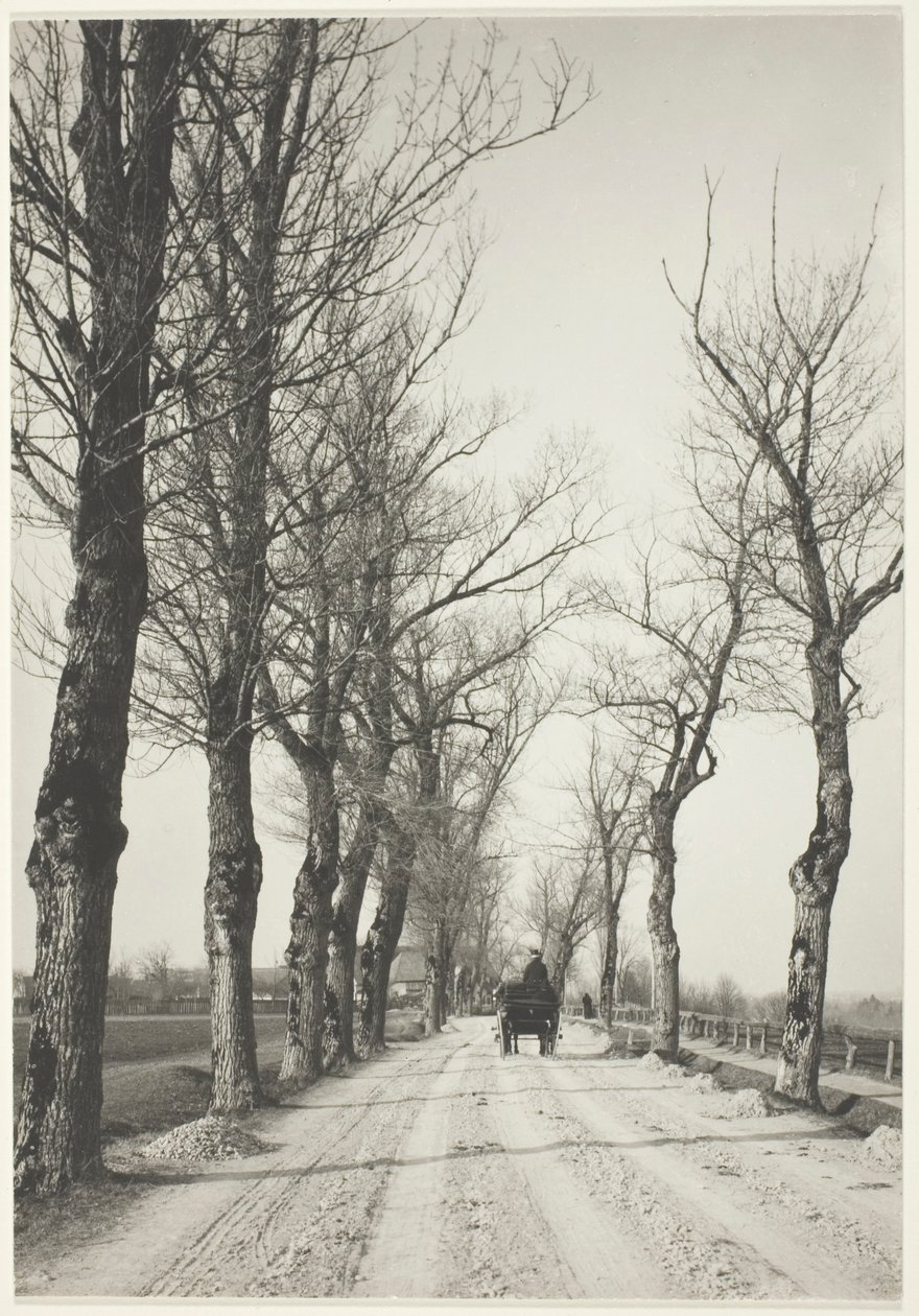 Kasım Günleri by Alfred Stieglitz