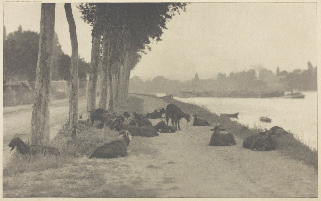 Seine Nehrinde—Paris Yakınında by Alfred Stieglitz