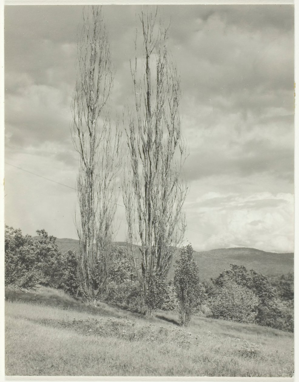 Kavaklar - George Gölü, 1935. by Alfred Stieglitz