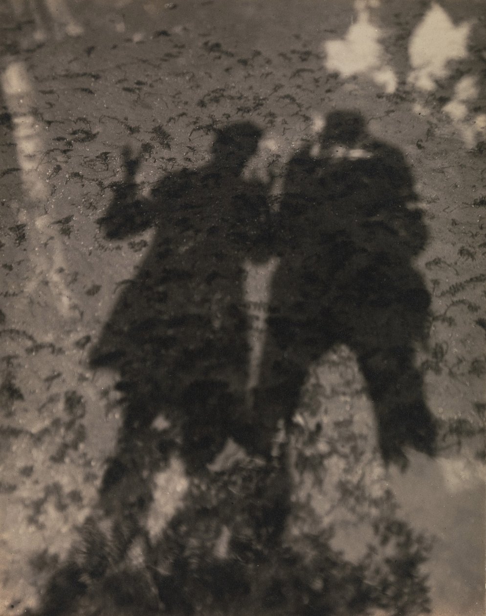 Göldeki Gölgeler by Alfred Stieglitz