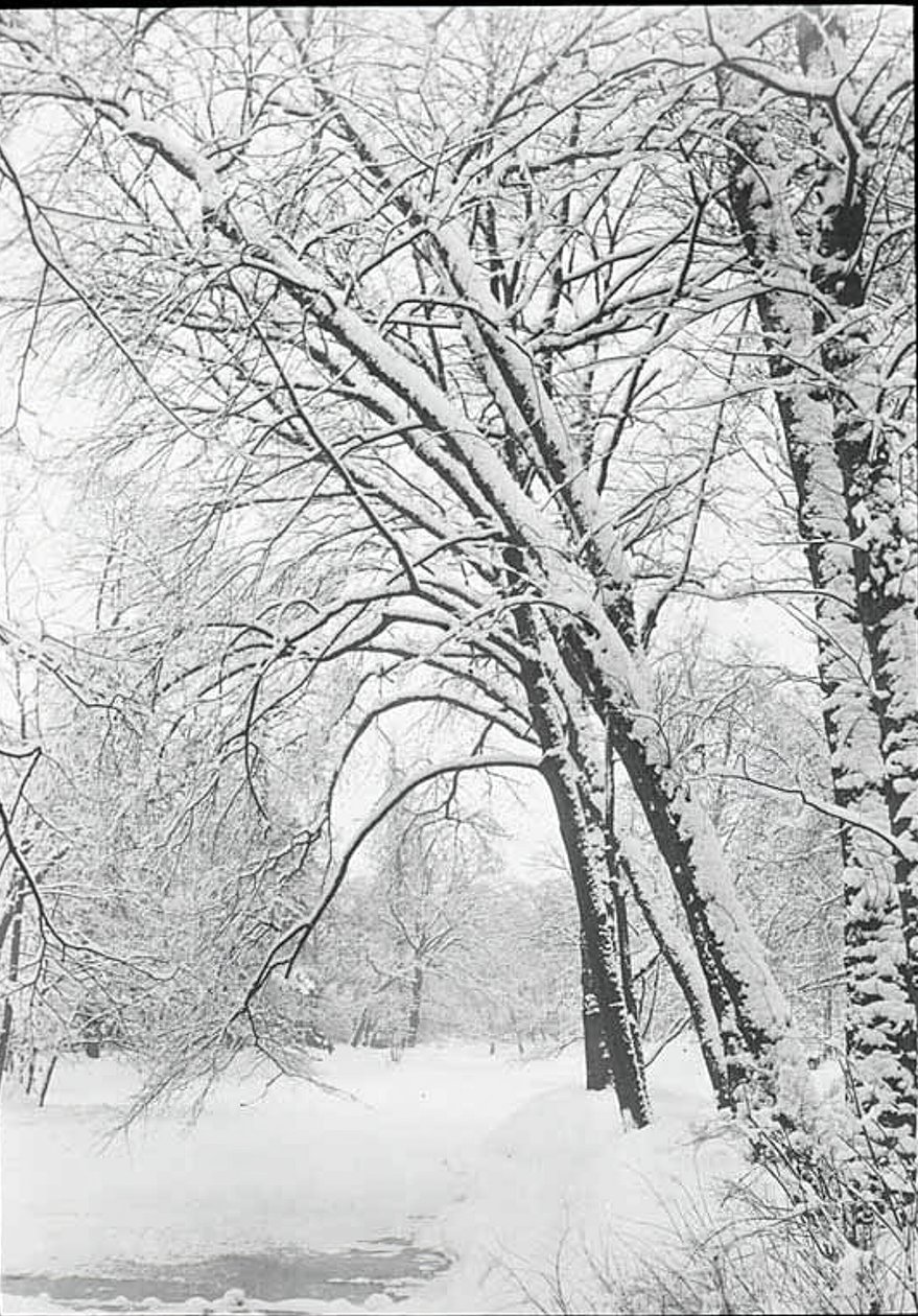 Kar manzarası, Berlin, 188892. by Alfred Stieglitz