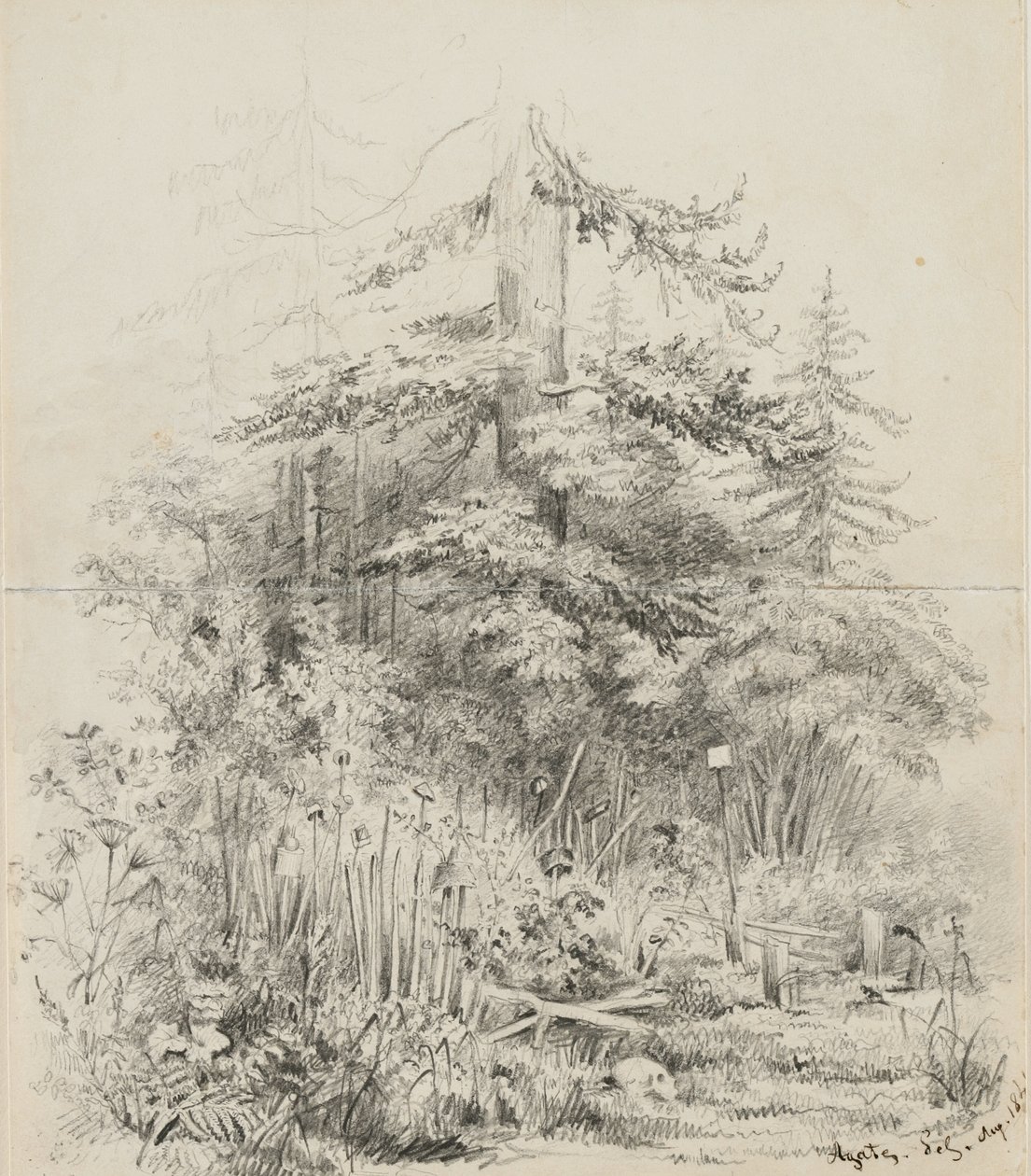 Indian Burial Place, Oregon, 1841 (kremalı dokuma kağıttan iki dikişli eskiz defteri yaprağı üzerindeki grafit) by Alfred Thomas Agate