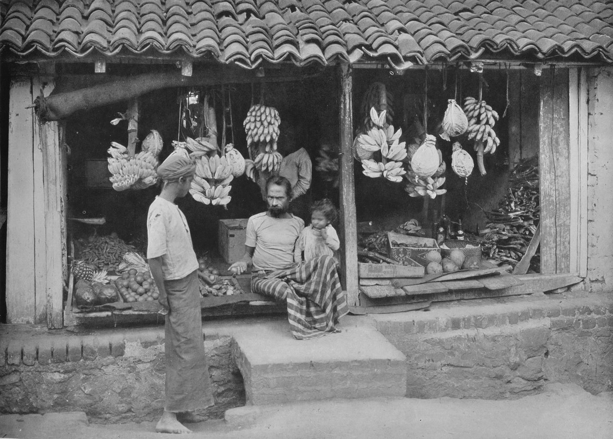 Yerli Bir Butik veya Meyve Dükkanı, c1890, 1910 by Alfred William Amandus Plate