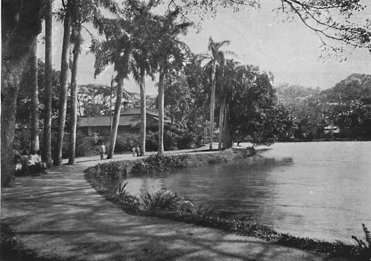Kandy Gölü ve Drive, c1890, 1910 by Alfred William Amandus Plate