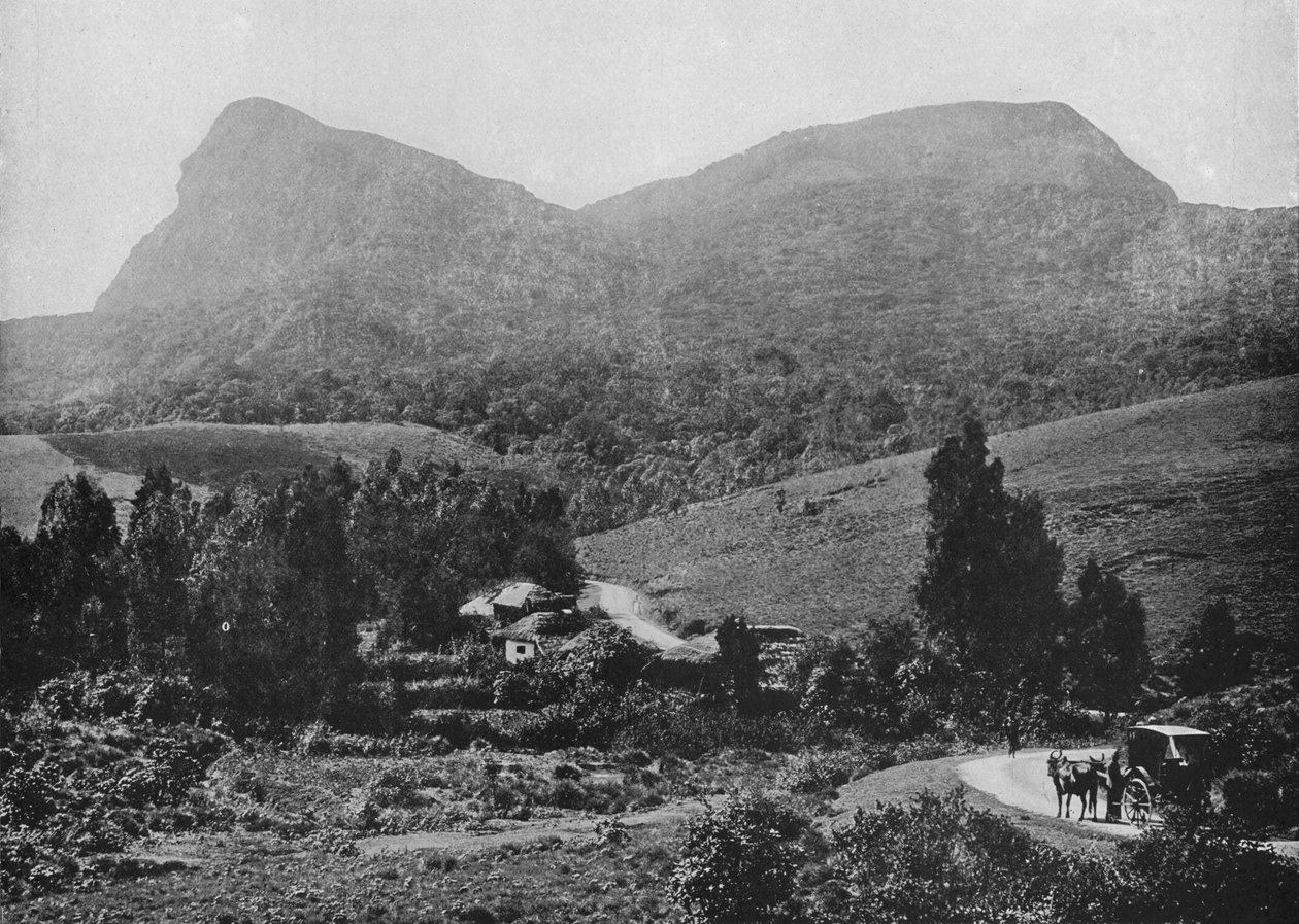 Hakgalla Yolunda. Uzaktaki Hakgalla Kayası, c1890, 1910 by Alfred William Amandus Plate