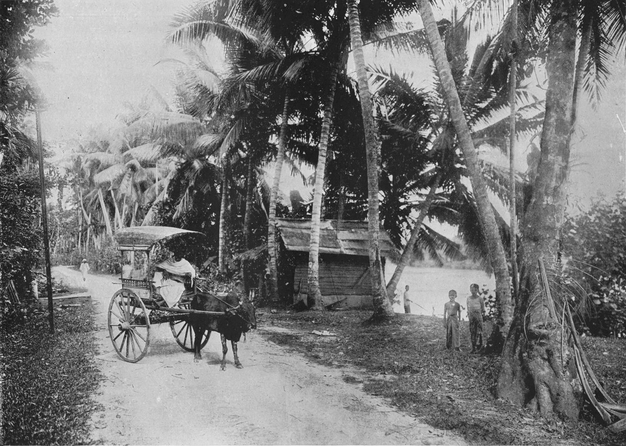 Kelaniya Nehri Yanındaki Yol, c1890, 1910 by Alfred William Amandus Plate