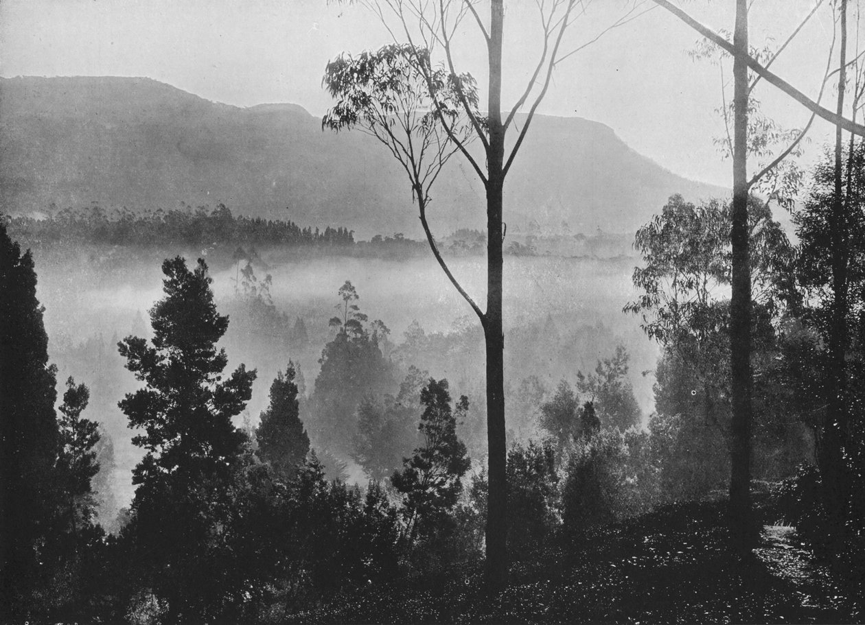 Nuwara Eliya