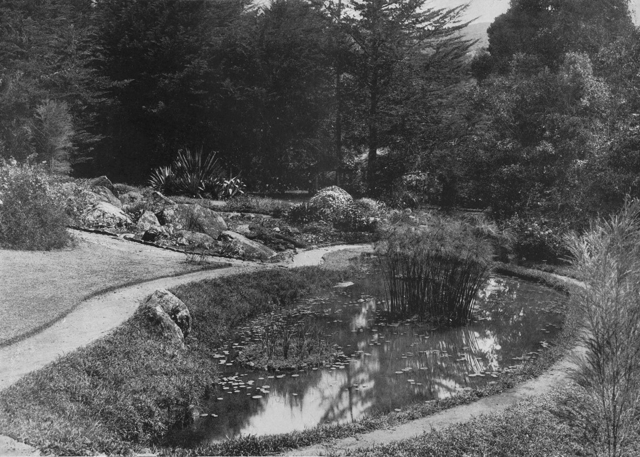 Kaya Bahçesi, Hakgalla Bahçeleri, Nuwara Eliya, c1890, 1910 by Alfred William Amandus Plate