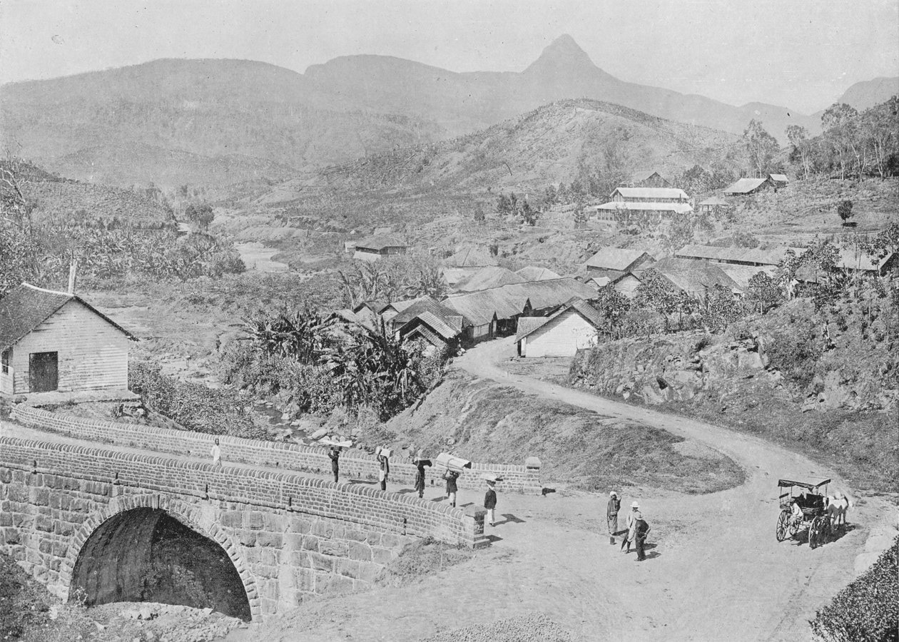 Adams Peak