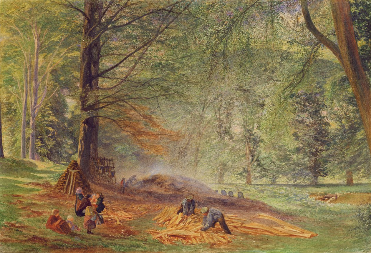 Rokeby Park