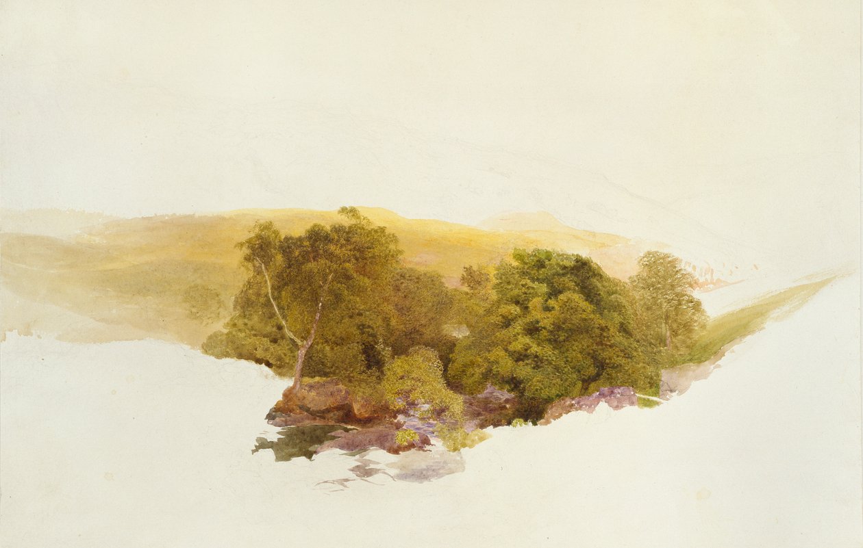 Martin Tepesi, Dockwigg, c1862 by Alfred William Hunt