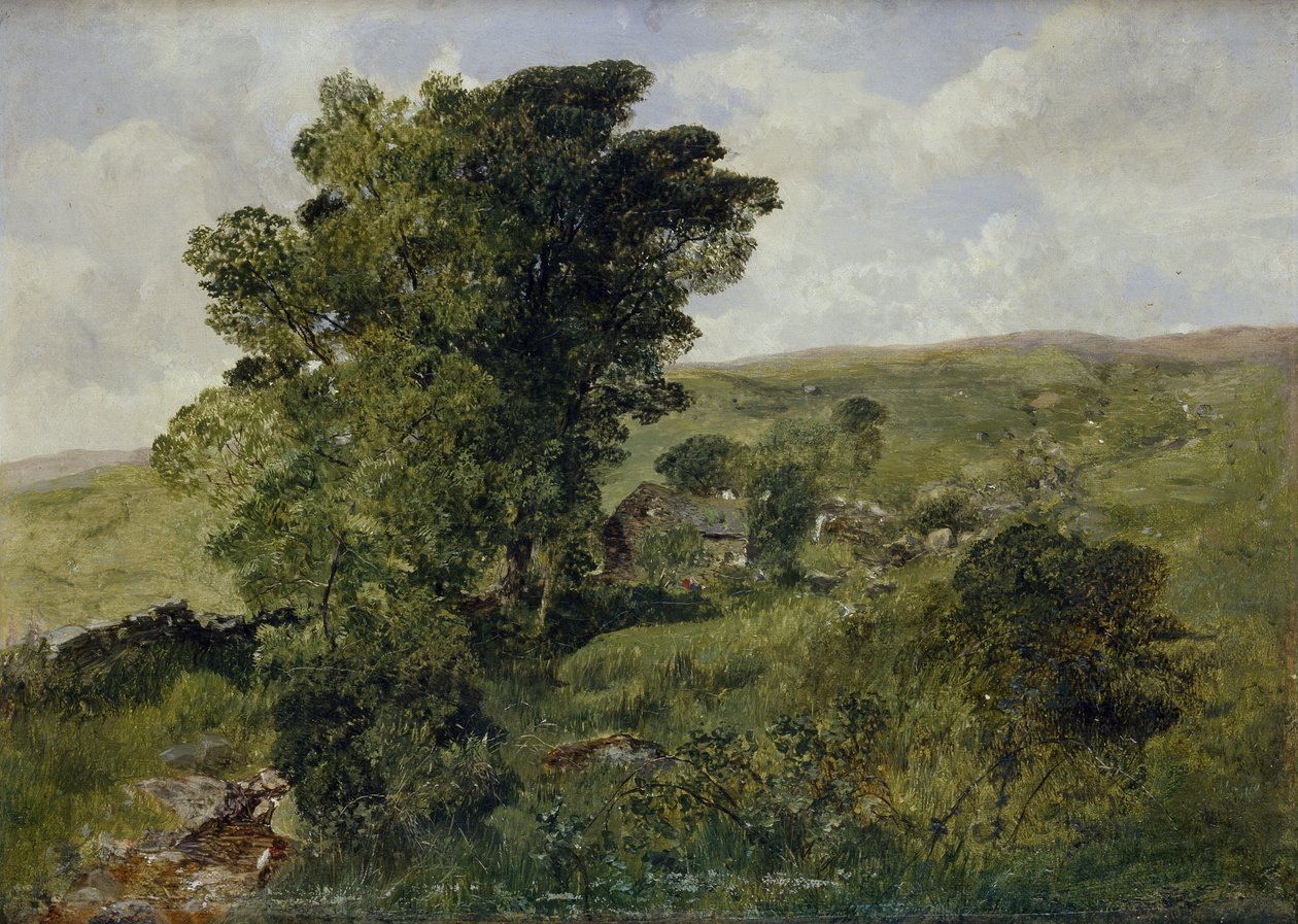 Nantlle manzarası, Caernarvonshire, 1855 by Alfred William Hunt