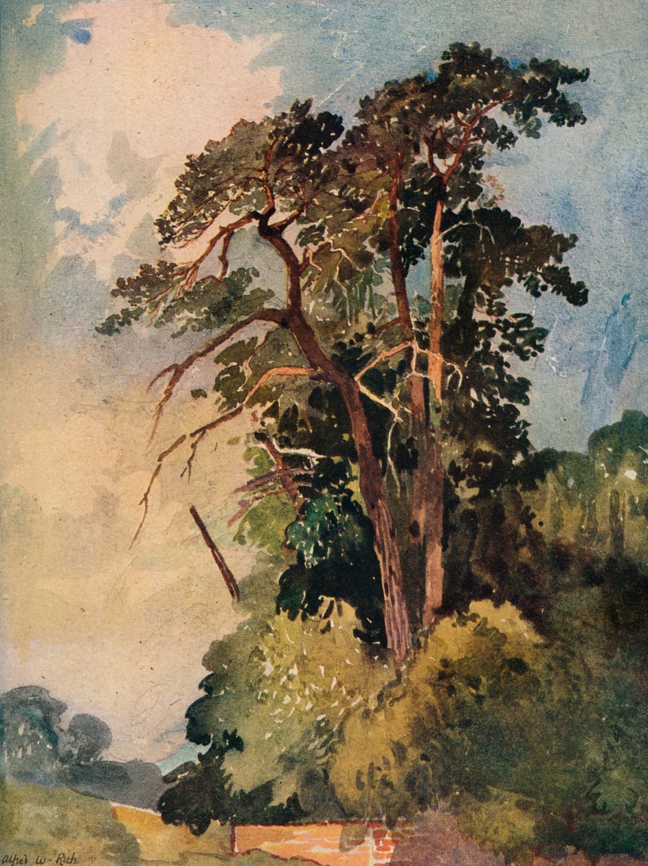 Ağaçların İncelenmesi, c1880 by Alfred William Rich