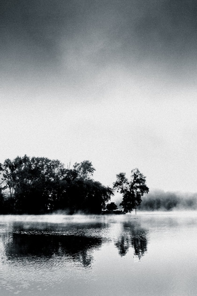  by Alice Gur Arie