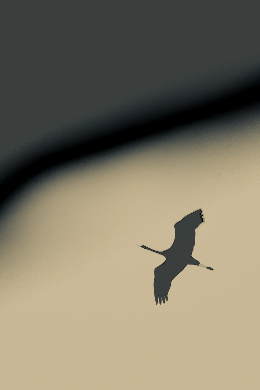 Into the Void, 2016 (fotoğraf) by Alice Gur-Arie