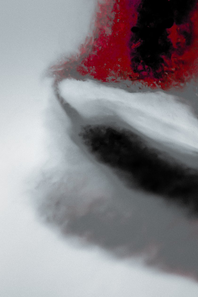Mission, Missionary serisinden, 2019 (fotoğraf) by Alice Gur-Arie