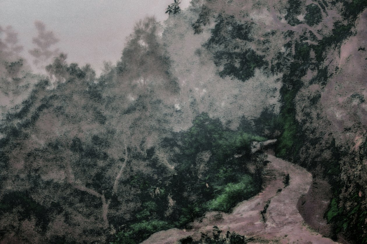 Levadalarda Yol, 2020 (elle yeniden boyanmış fotoğraf) by Alice Gur-Arie