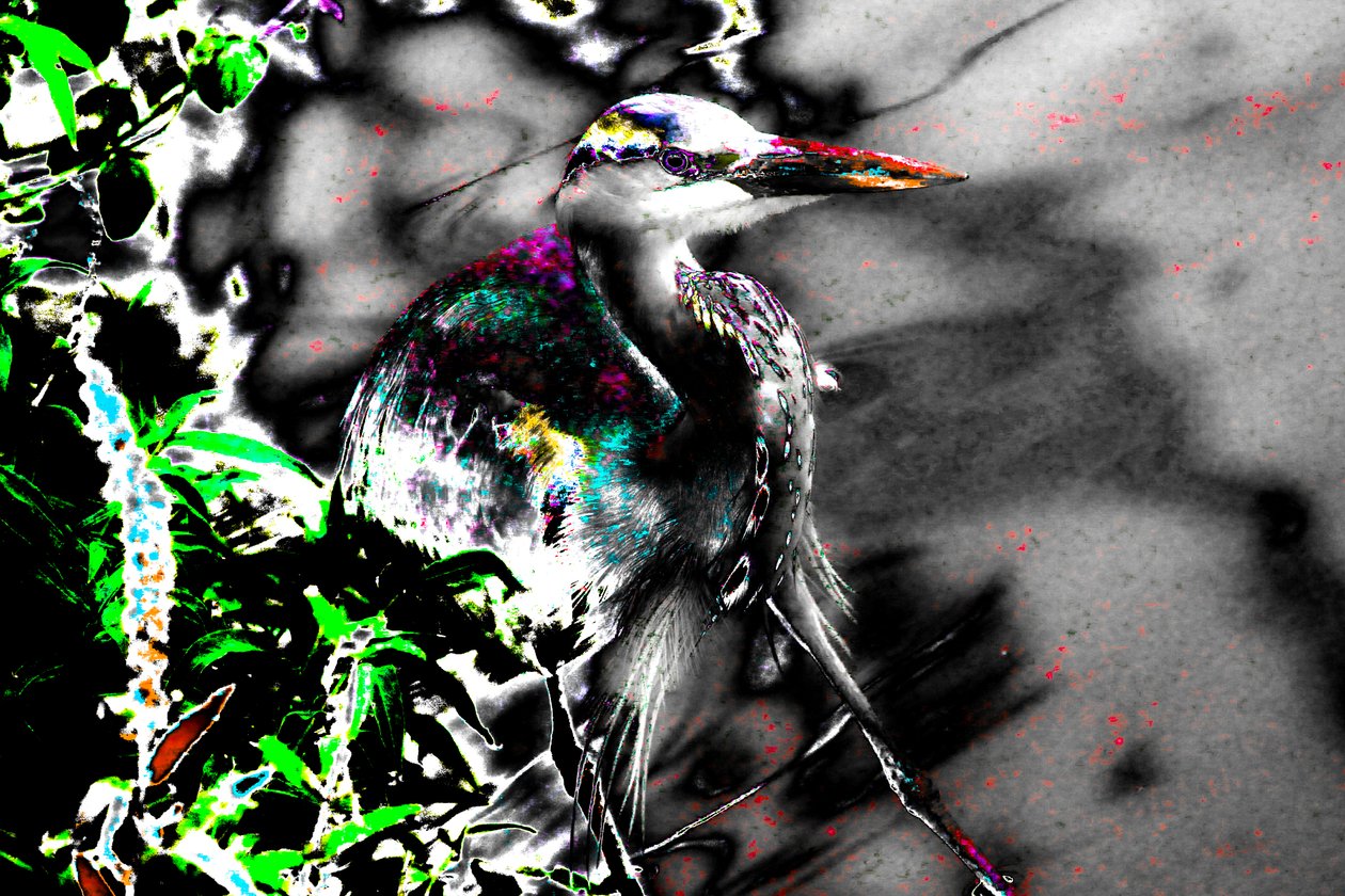 Körlükten Sonra, 2013 (fotoğraf) by Alice Gur-Arie