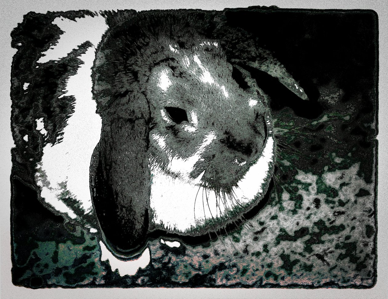 Rabbit Habbits, 2022 (yeniden boyanmış fotoğraf) by Alice Gur-Arie
