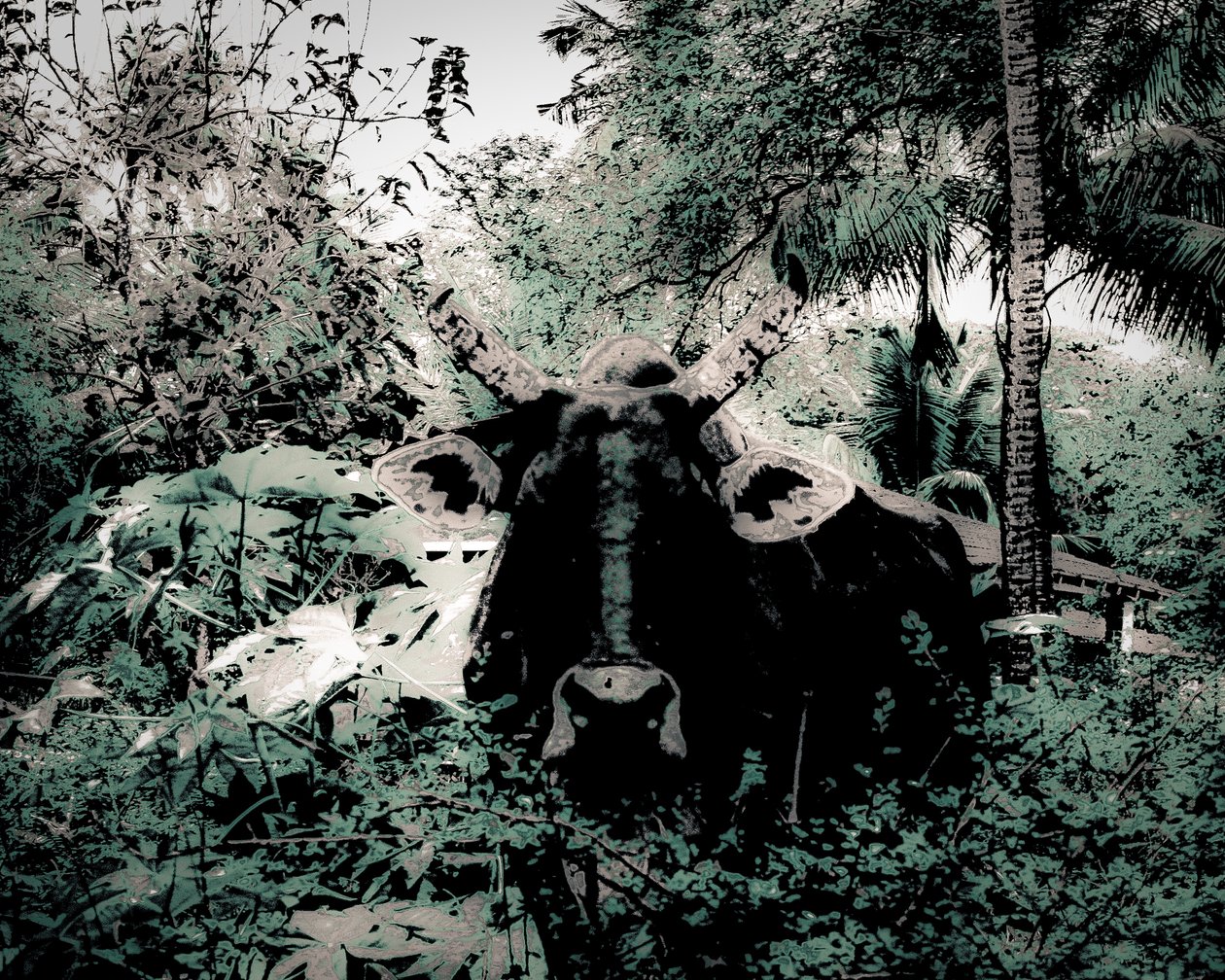 The Lodge Near Periyar, 2020 (boyalı fotoğraf) by Alice Gur-Arie