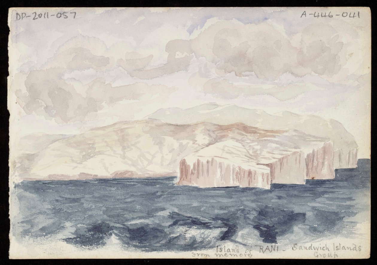 Rani Adası - Sandviç Adaları Grubu by Alington family