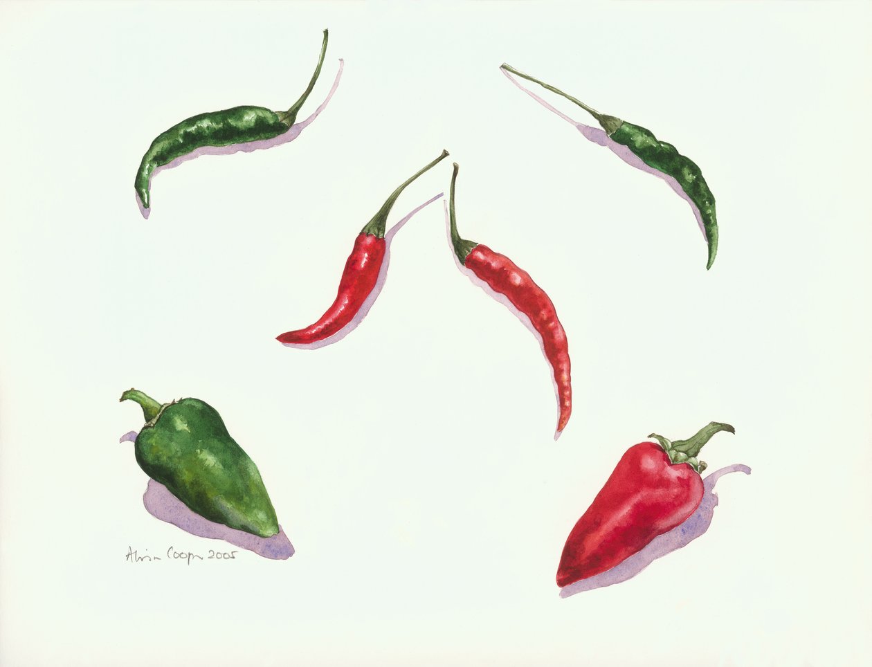 Biber ve Biber, 2005 by Alison Cooper