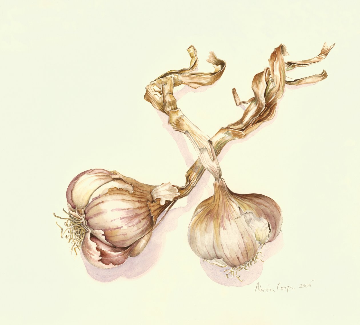 Sarımsak ampulleri, 2005 by Alison Cooper