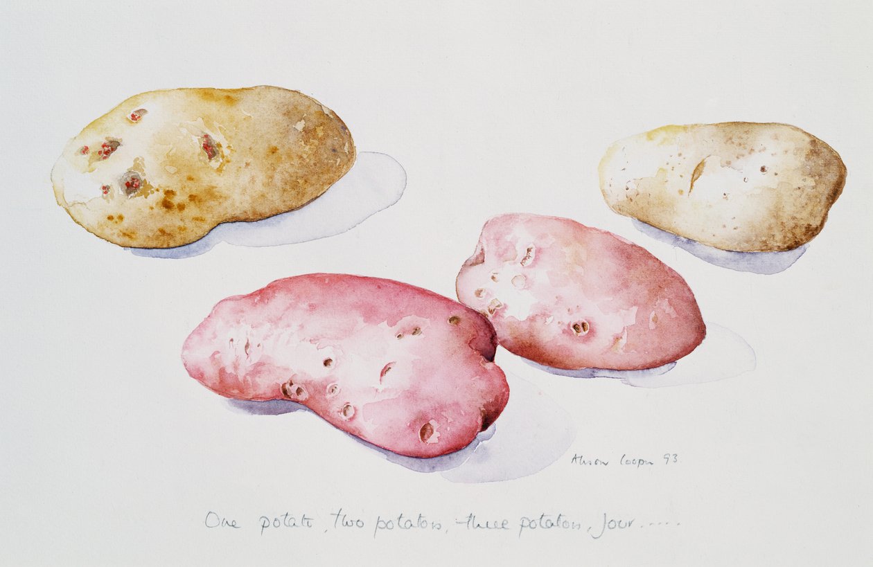 Patates Çalışması, 1993 by Alison Cooper