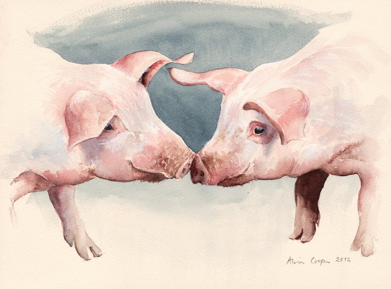 İki Küçük Domuzcuk, 2012 by Alison Cooper