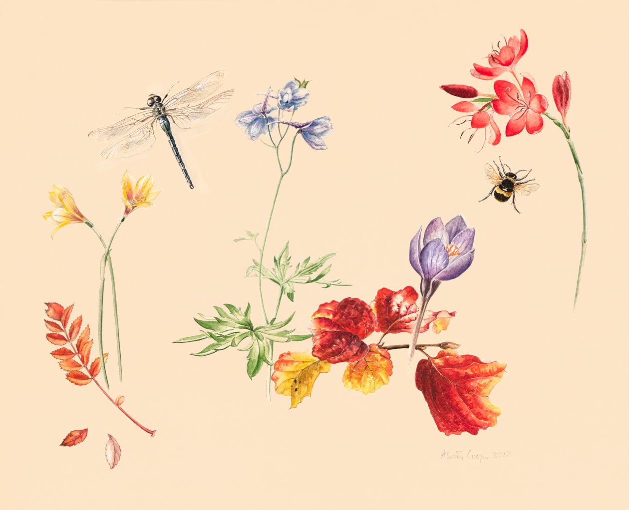 sonbahar çiçekleri ve böcekler by Alison Cooper