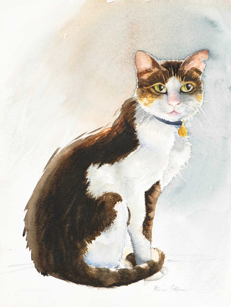 Suudi Kedi Dave, 2019 (sulu boya) by Alison Cooper