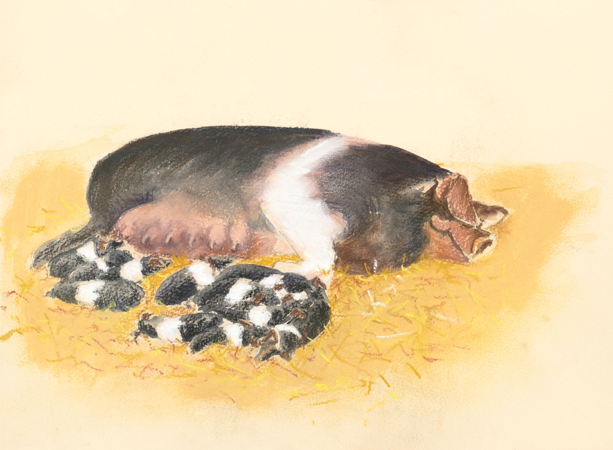 Eyerli Domuz ve domuz yavruları, 2019 (pastel) by Alison Cooper