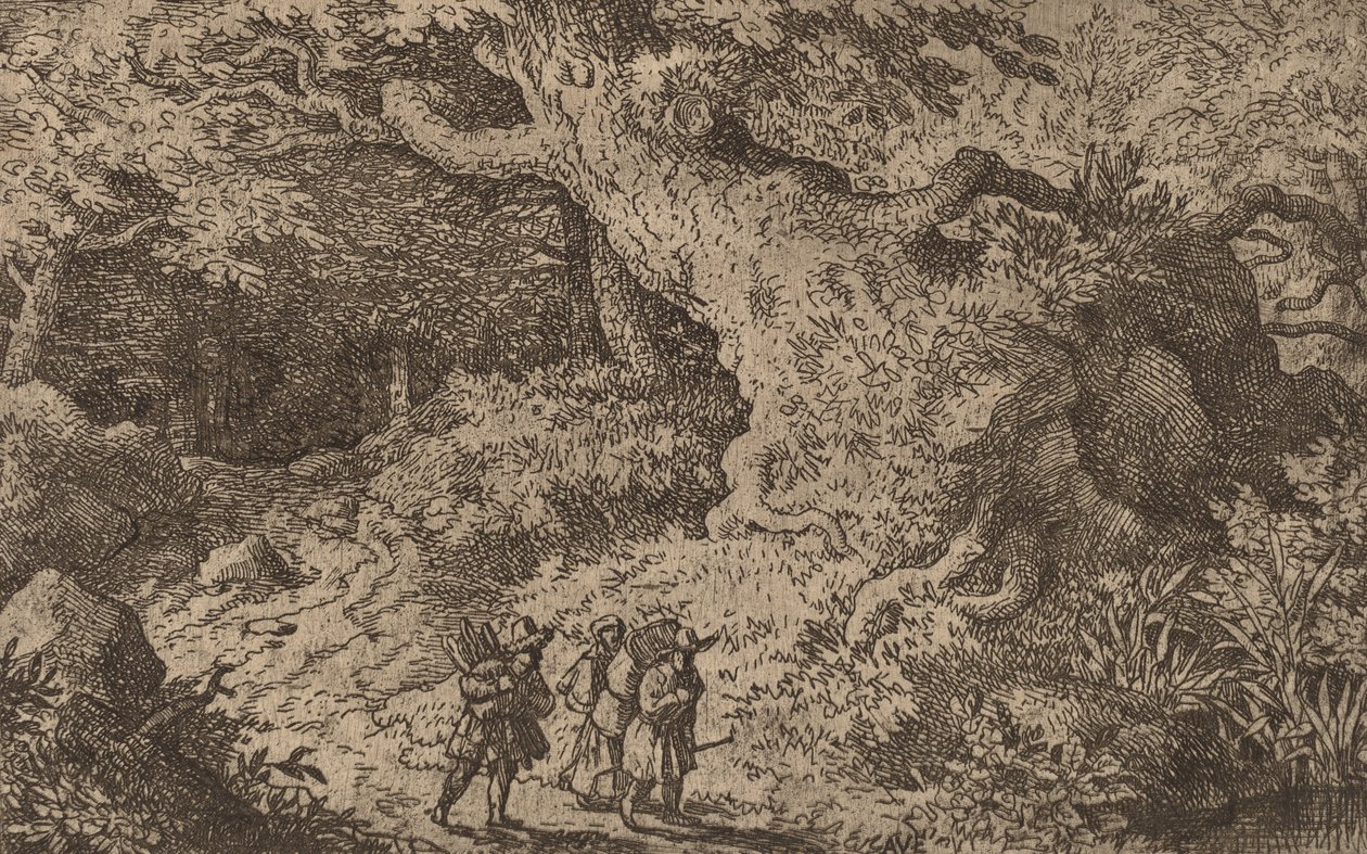 Kalın Bir Orman, muhtemelen c. 16451656. by Allart van Everdingen