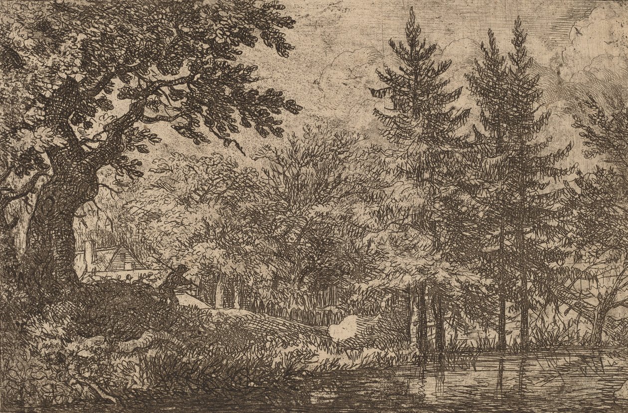 Sudaki Köknar Ağaçları, muhtemelen c. 16451656. by Allart van Everdingen