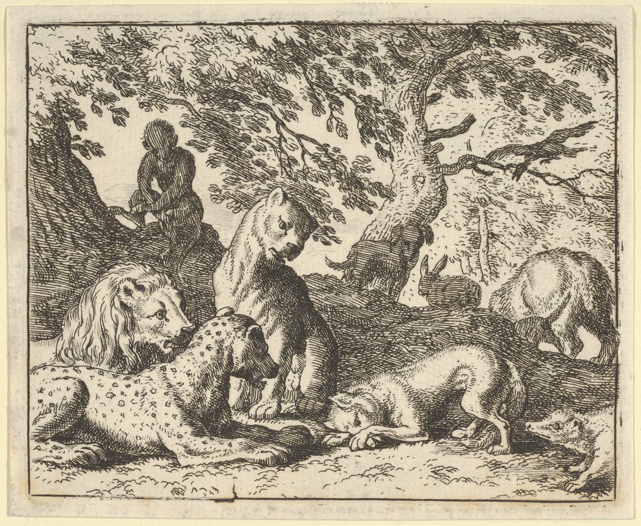 Renard Yanlış Bir Şekilde Babasını Aslana Karşı Komplo Yapmakla Suçluyor, 1650-75. by Allart van Everdingen