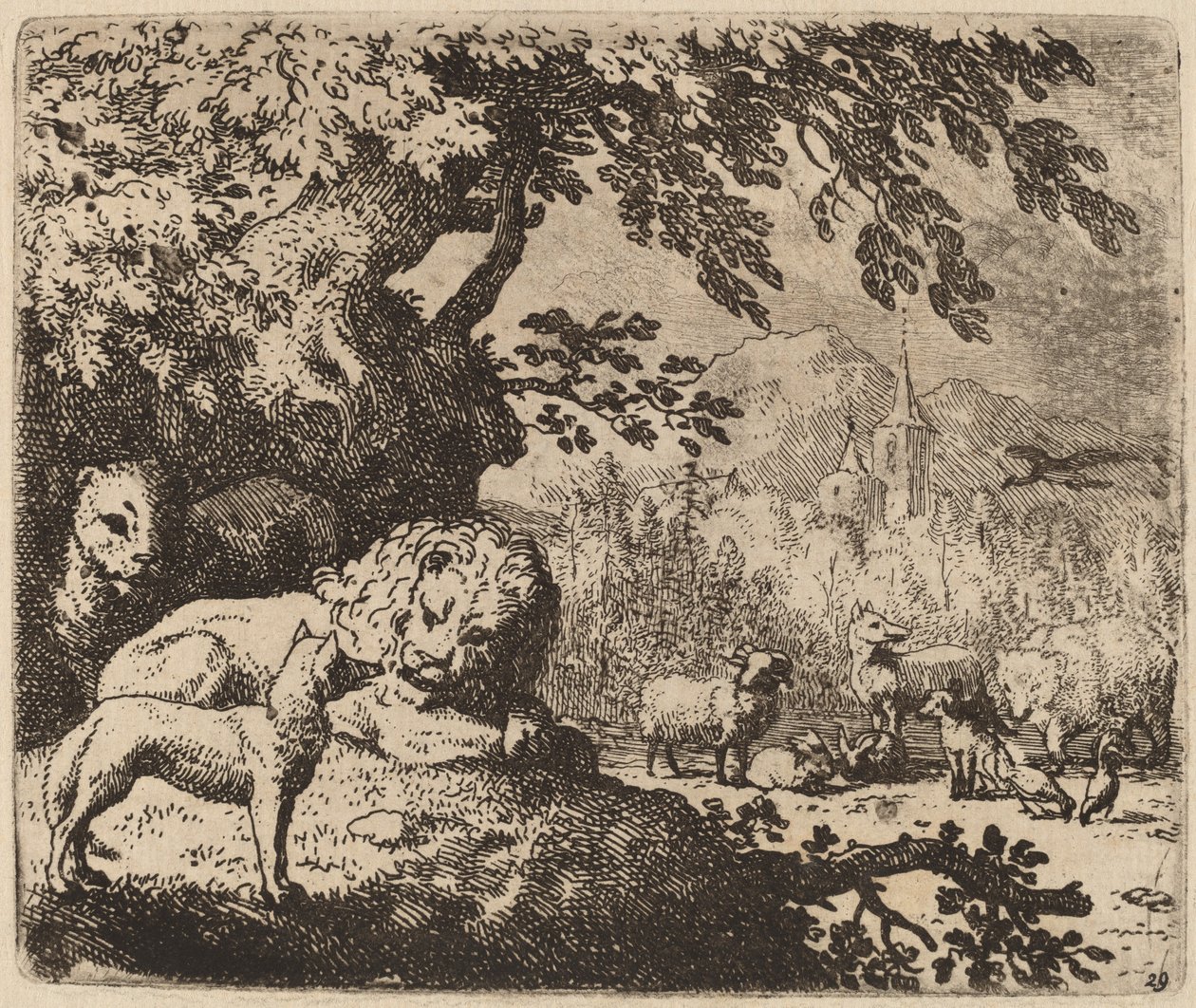 Aslan ve Dişi Aslan ile Konsey