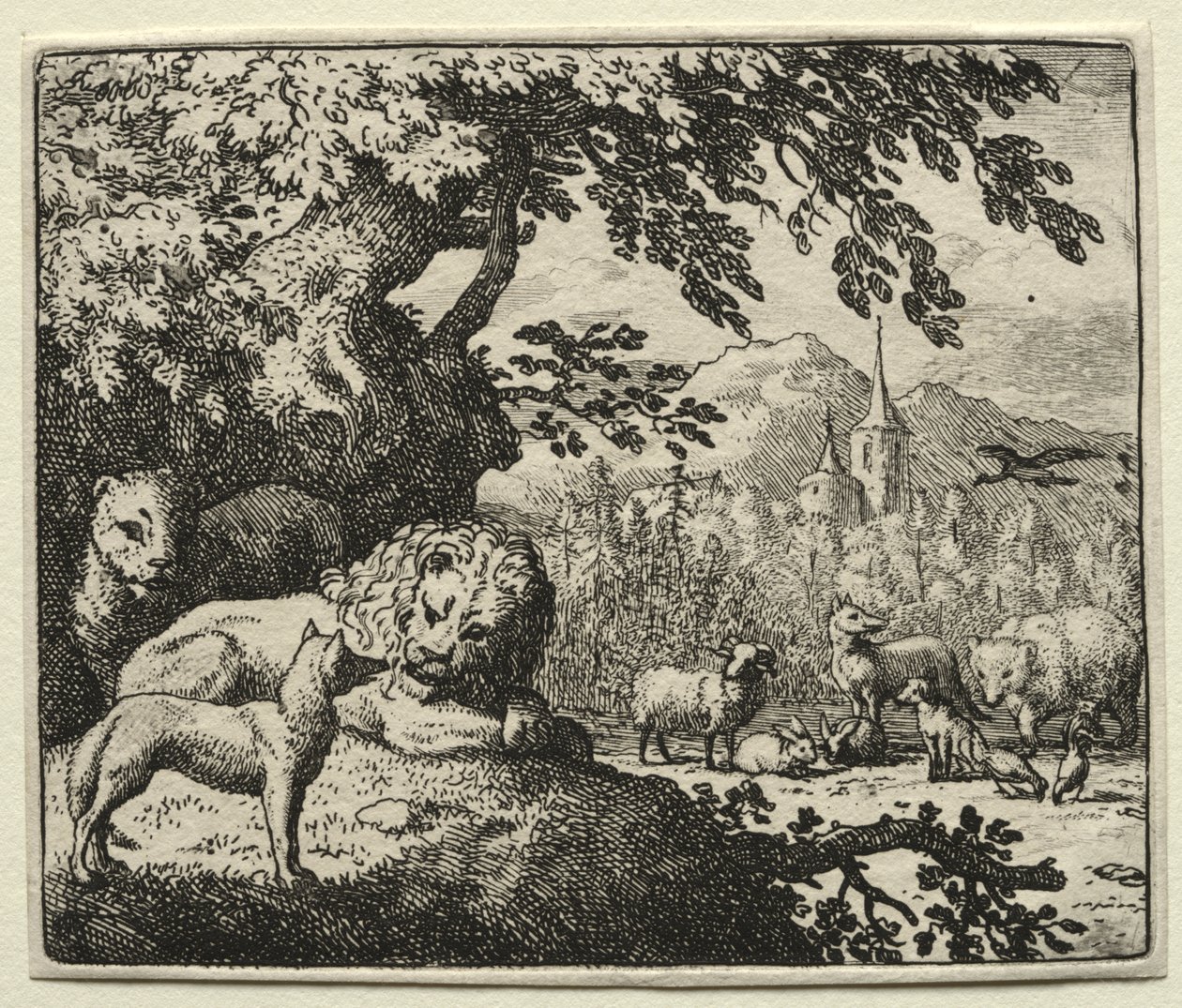 Tilki Reynard: Reynard Hikayesine Devam Ediyor by Allart van Everdingen