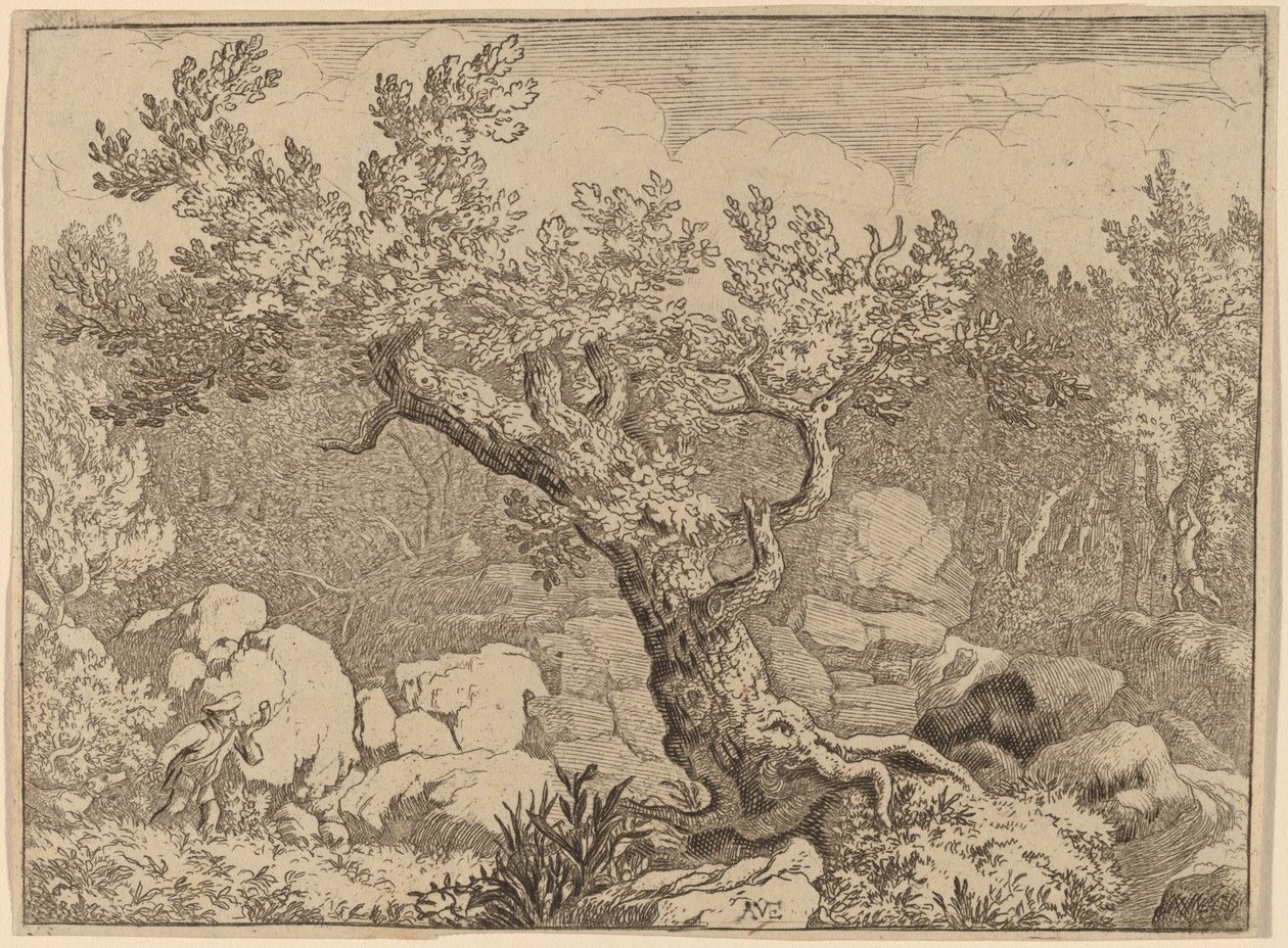 Büyük Bir Ağacın yanında Sporcu, muhtemelen c. 16451656. by Allart van Everdingen