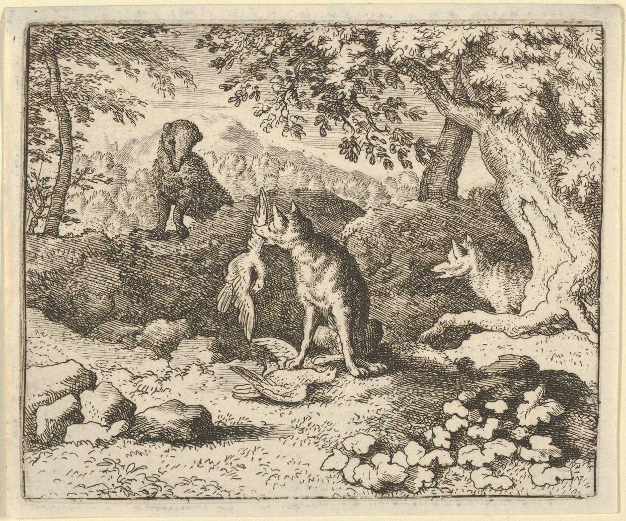 Porsuk, Renard