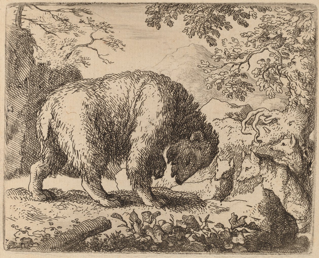 Ayı Bal Konuşmasıyla Dikkati Dağıttı, muhtemelen c. 16451656. by Allart van Everdingen