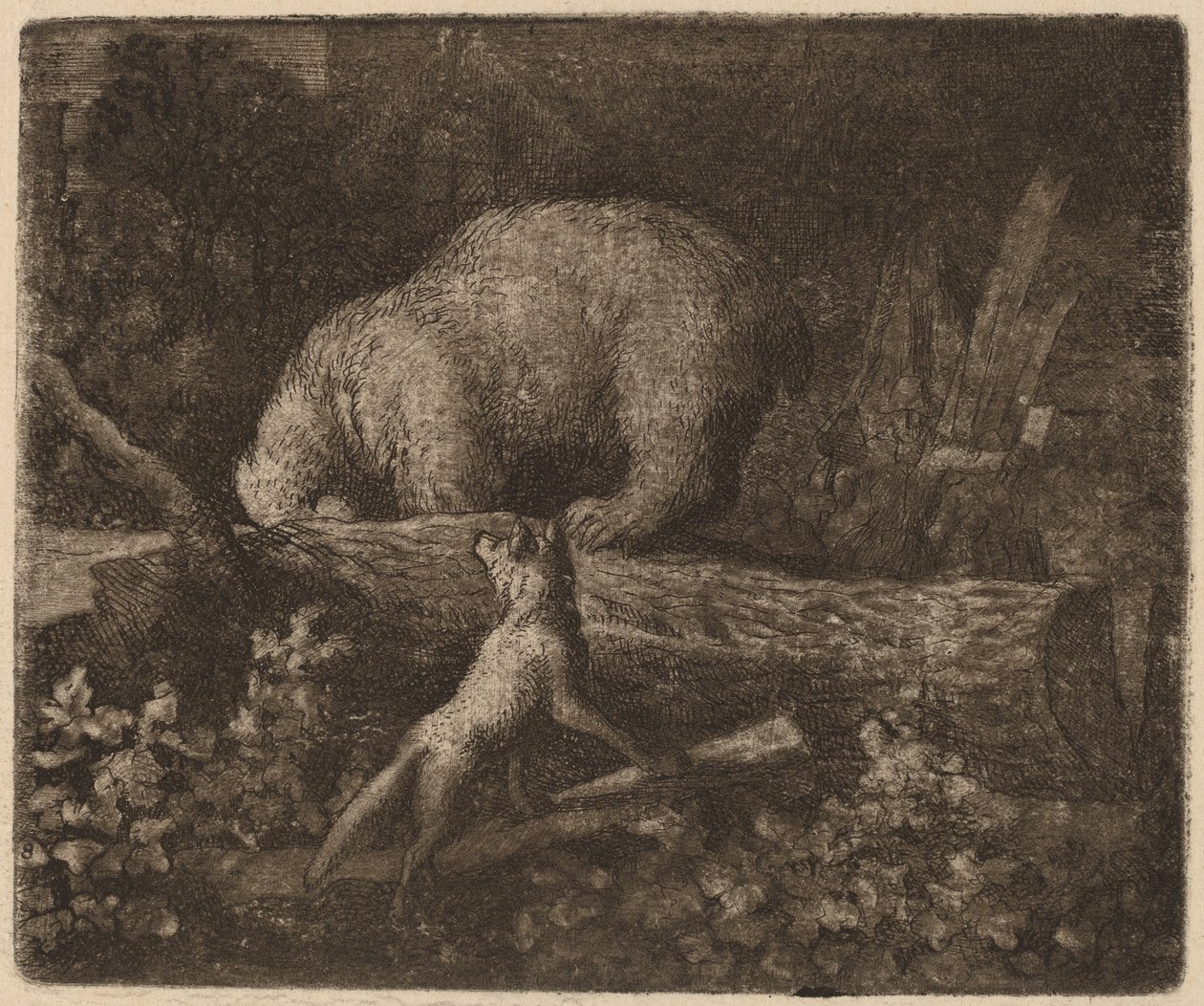 Tuzağa Düşen Ayı, muhtemelen c. 16451656. by Allart van Everdingen