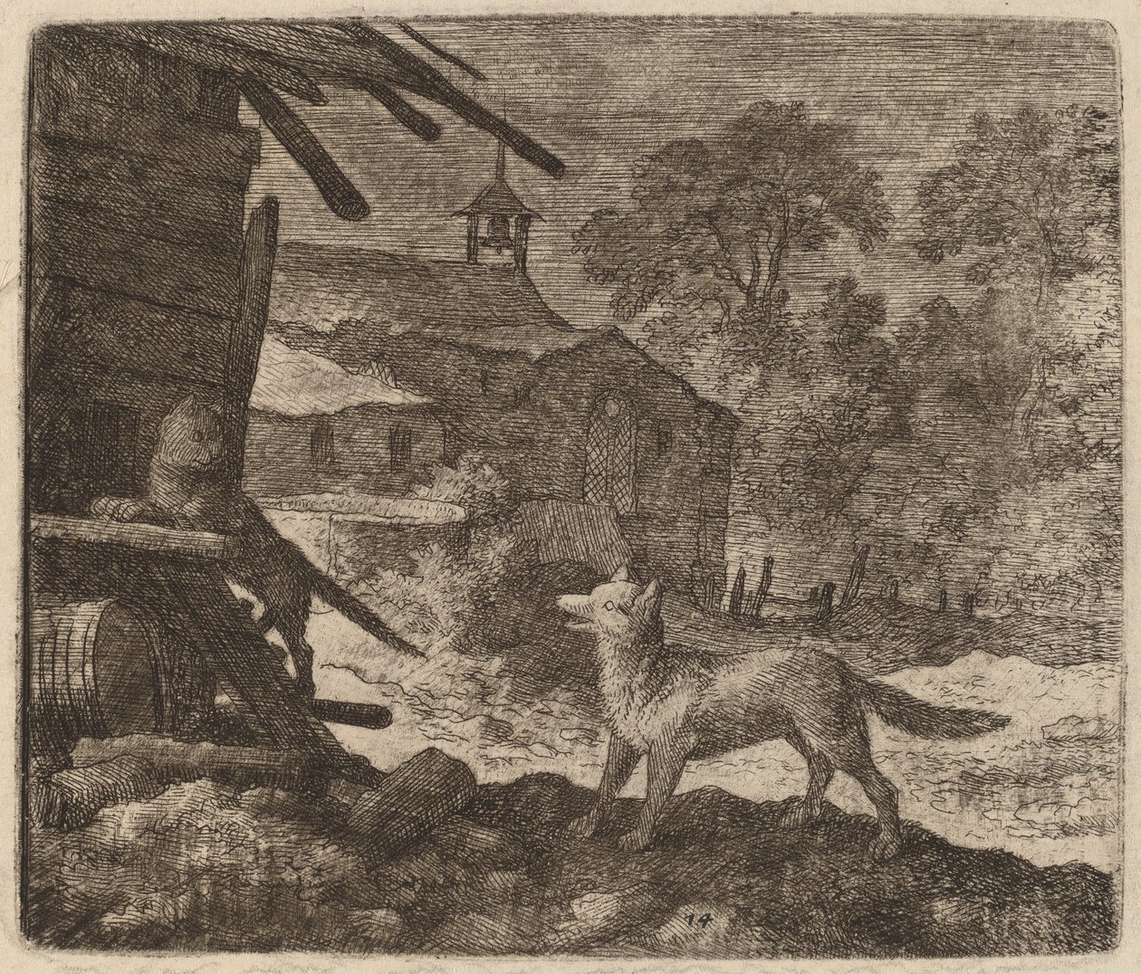 Kedi, Reynard
