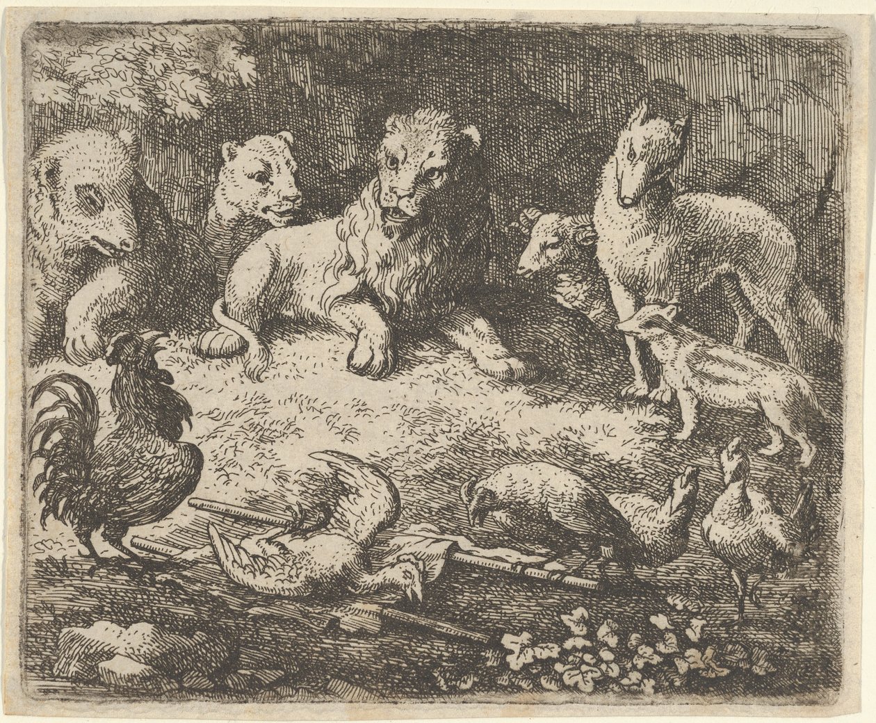 Horoz, Renard