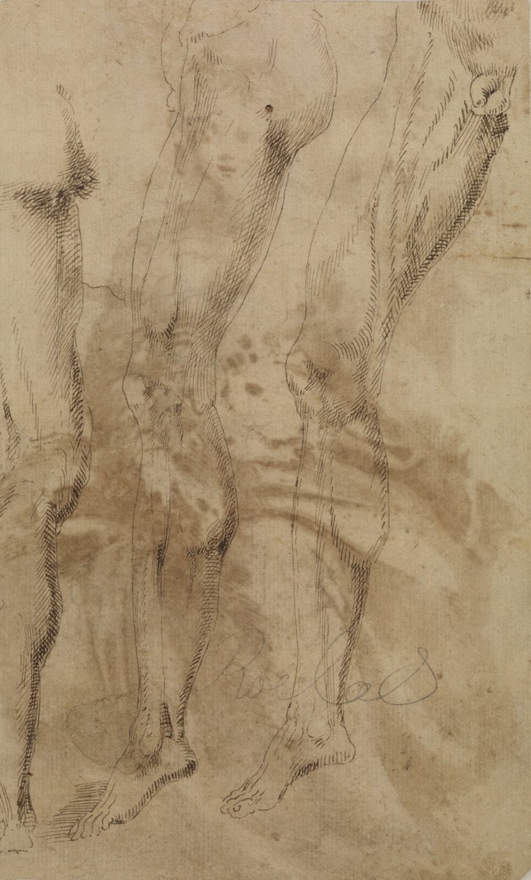 Bir erkek bacağının üç çalışması, c.1637 by Alonso Berruguete