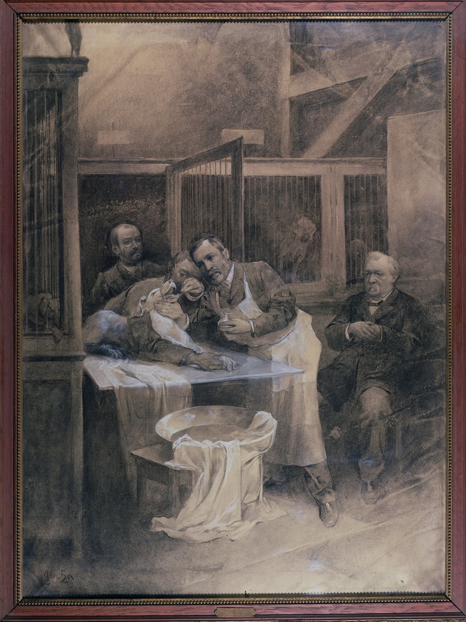 Louis Pasteur (1822-95) kuduz bir köpekten köpük örneği alıyor (kömür) by Alphonse Mucha