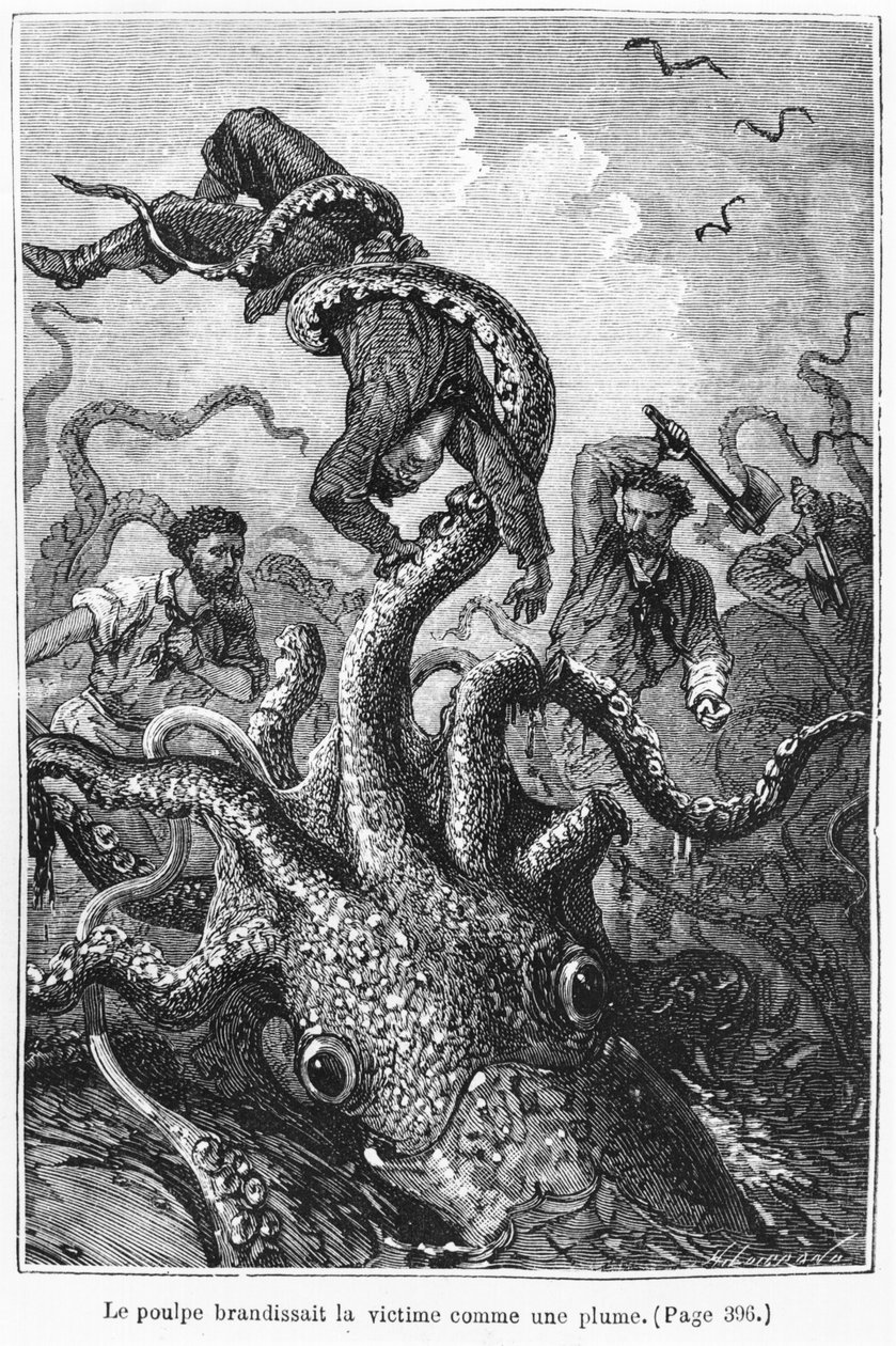 Nautilus