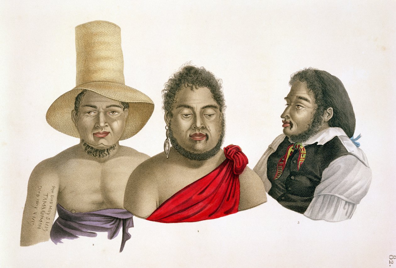 Sandviç Adaları şeflerinin portreleri, Louis Claude Desaulses de Freycinet (1779-1842) tarafından 